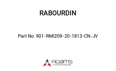 901-RMI209-20-1813-CN-JV
