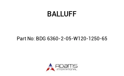 BDG 6360-2-05-W120-1250-65									