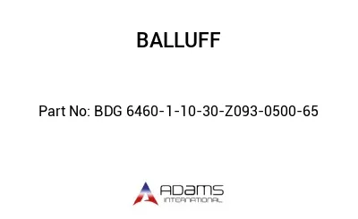 BDG 6460-1-10-30-Z093-0500-65									