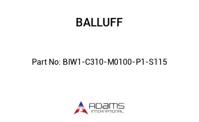 BIW1-C310-M0100-P1-S115									