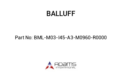 BML-M03-I45-A3-M0960-R0000									