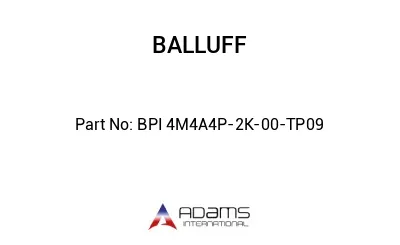 BPI 4M4A4P-2K-00-TP09									